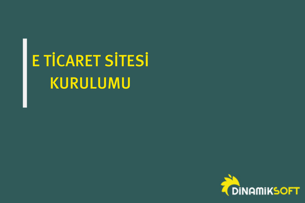 e ticaret sitesi kurulumu