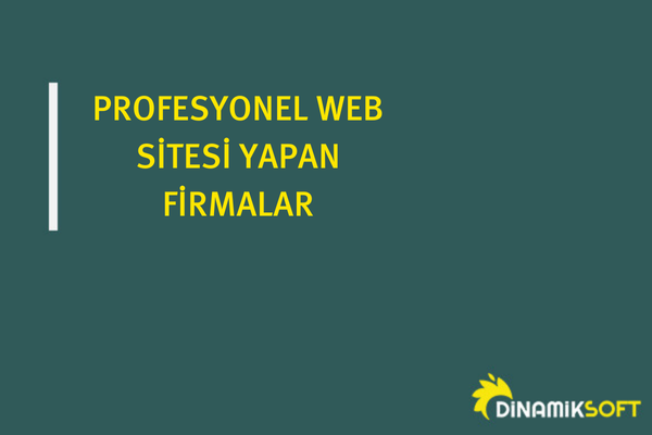 profesyonel web sitesi yapan firmalar