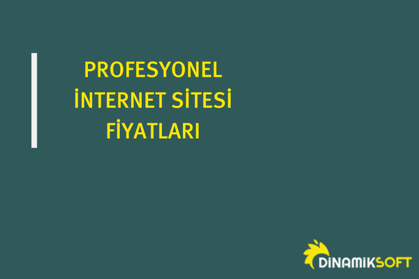 profesyonel internet sitesi fiyatlari